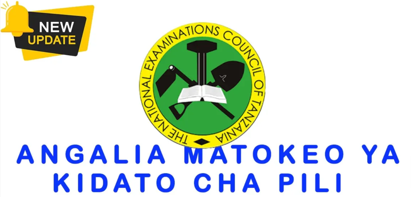 Matokeo Kidato Cha Pili 2024/2025: Your Guide to Checking Form Two Results